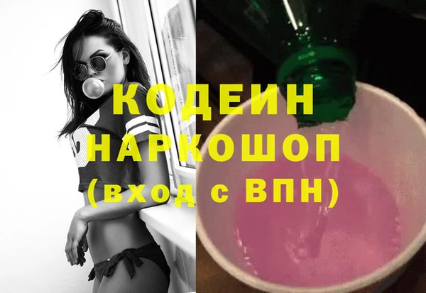 шишки Арсеньев
