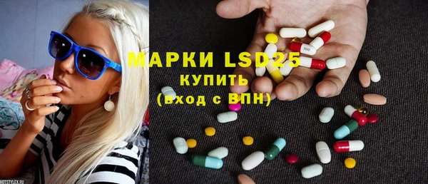 шишки Арсеньев