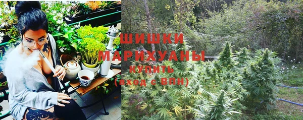 шишки Арсеньев